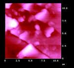 AFM Image