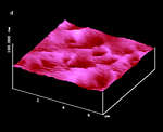 AFM Image