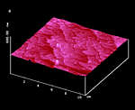 AFM Image