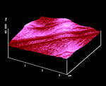 AFM Image