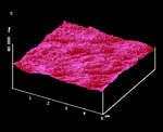 AFM Image