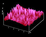 AFM Image