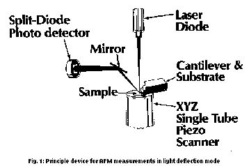 principle of AFM-measurement