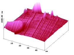 Figure 5c - click to enlarge