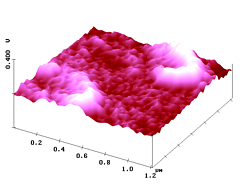 Figure 8b - click to enlarge